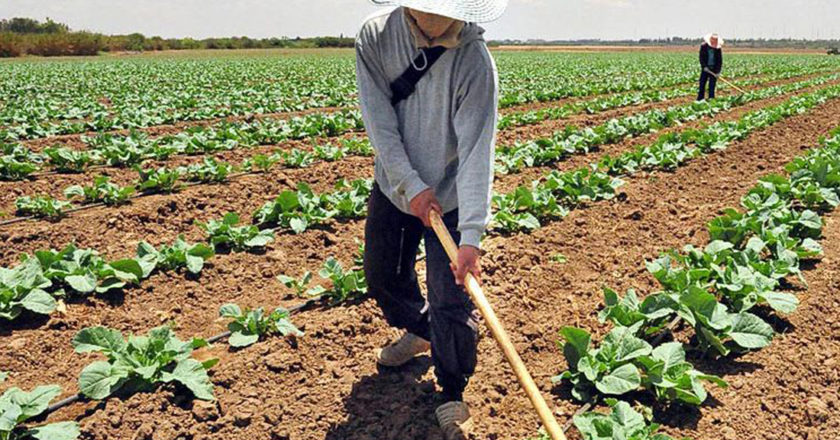 Fedeagro: Capacidad productiva se redujo a la mitad en 10 años