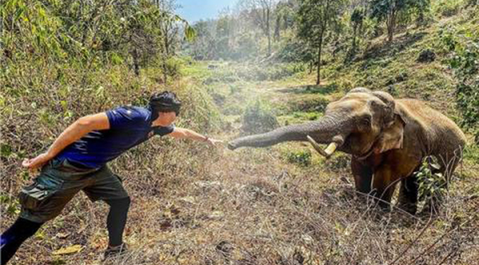 Elefante reconoce y saluda al veterinario que le salvó la vida hace 12 años