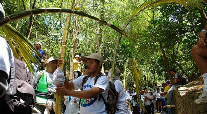 Palmeros de Chacao realizarán el corte de palmas con medidas de bioseguridad