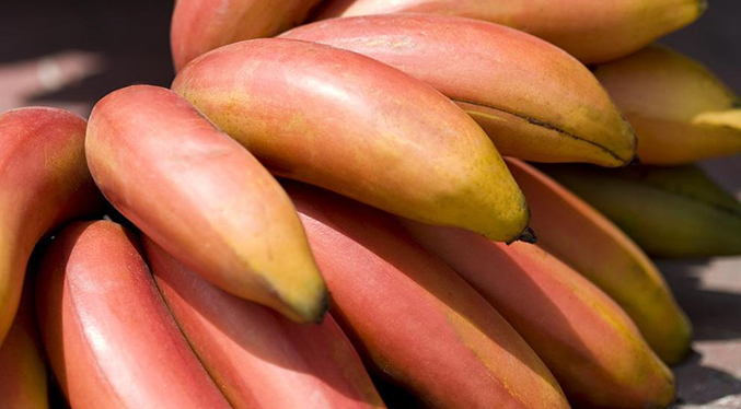 El plátano rojo con sabor a frambuesa aterriza en la península ibérica