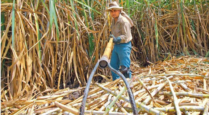 Sector azucarero urge gasoil para mantener operaciones
