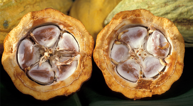 Nestlé recicla los desechos de la fruta del cacao para reemplazar el azúcar en el chocolate