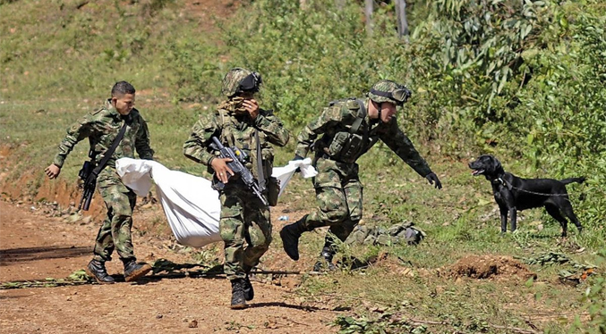 Al menos 14 guerrilleros mueren en enfrentamientos entre el ejército y las Farc en Colombia