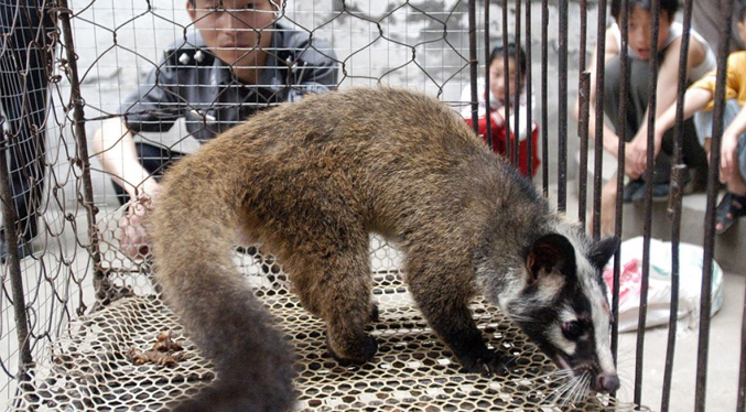 OMS pide suspender la venta de mamíferos salvajes vivos