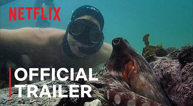 «My Octopus Teacher» consigue el Bafta al mejor documental