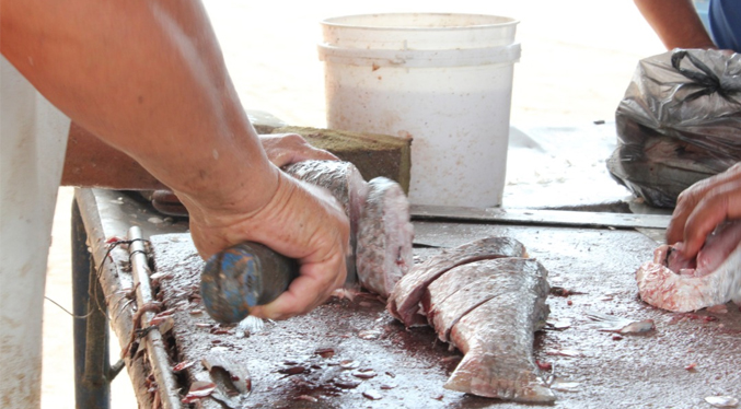 Alcaldía llevará Feria del Pescado a cuatro parroquias de Maracaibo