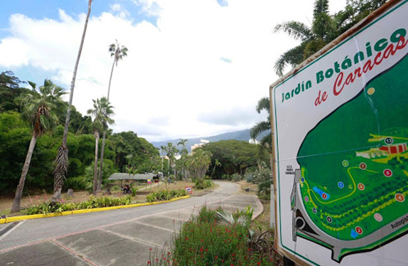 Detienen a tres hombres por invadir el Jardín Botánico de la UCV