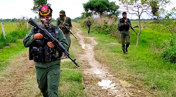 Fundaredes reporta tregua entre la Fuerza Armada venezolana y las FARC