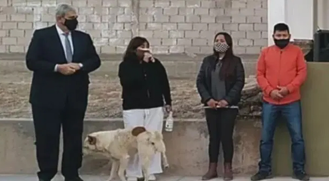 Perro orina a alcaldesa en Argentina mientras daba un discurso