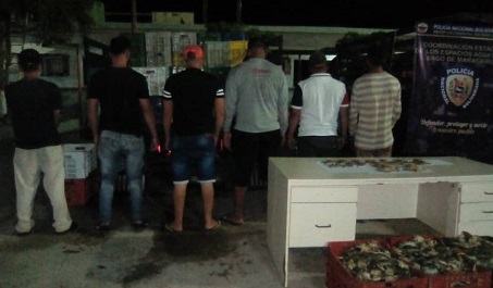PNB aprehende a seis delincuentes por transportar cangrejo de forma ilegal