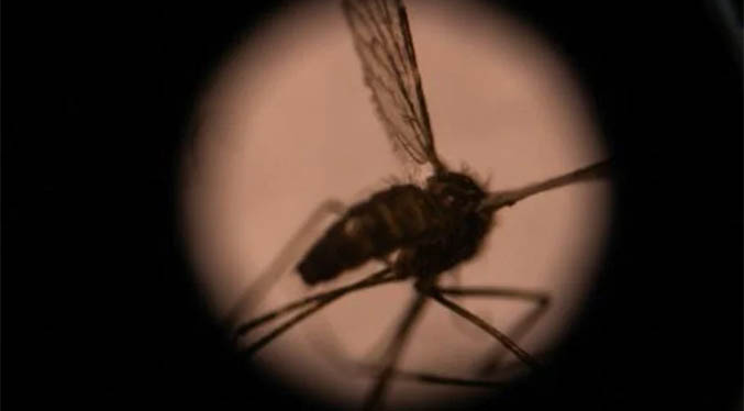 China erradica la malaria después de 70 años de lucha