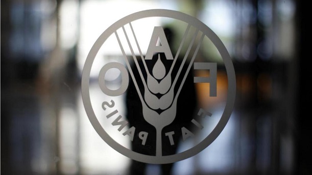 FAO: Erradicar el hambre para 2030 será un objetivo difícil de conseguir