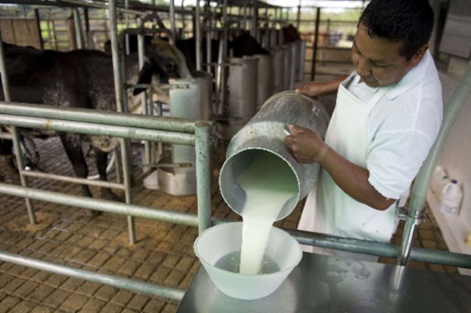 En el Alto Apure deben vender 150 litros de leche para comprar 70 litros de combustible
