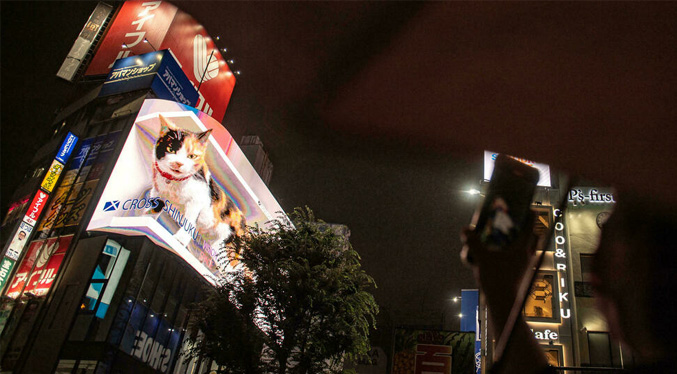 El gato en 3D que tiene obnubilados a los habitantes de Tokio