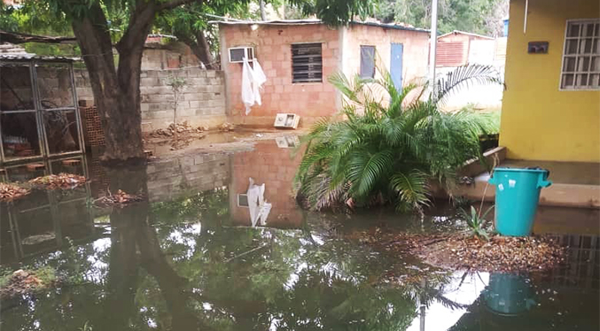 Denuncian bote de aguas negras en Los Olivos