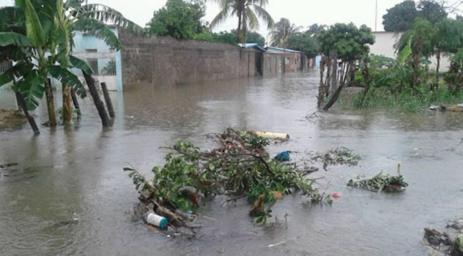 Argenis Chávez: Hay dos mil familias afectadas por las lluvias en Barinas