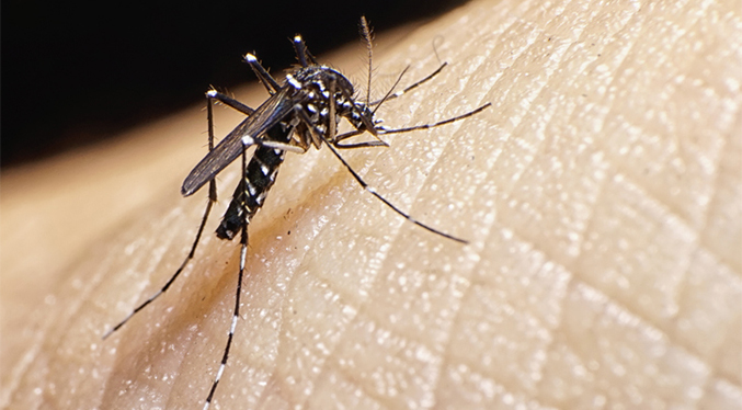 Infectólogo afirma que el país vive un repunte de casos de dengue