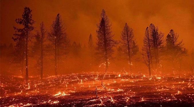 Incendio en California se mantiene activo tras arrasar más de 71 mil hectáreas