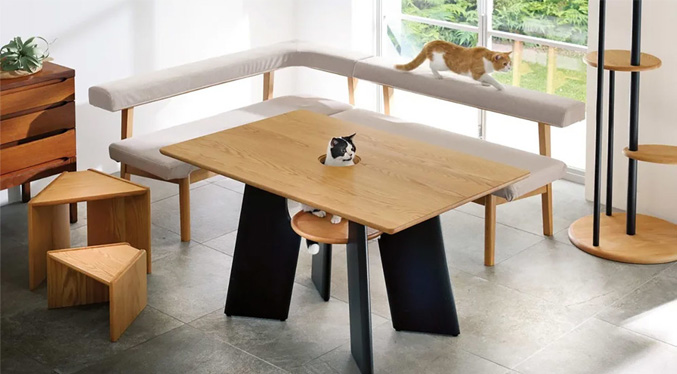 Diseñan en Japón una mesa de comedor con un orificio en el centro para los gatos