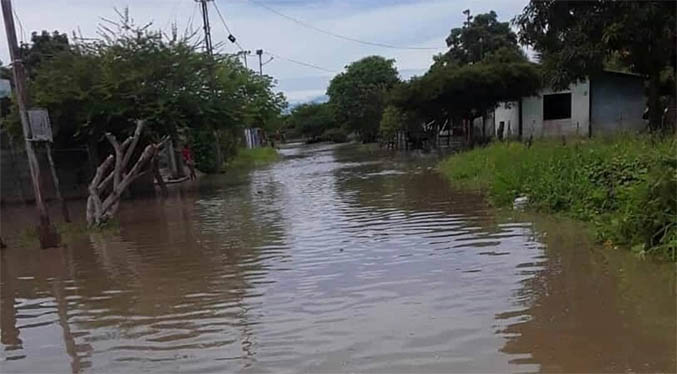 Alerta máxima en cuatro municipios del Sur del Lago por crecida del río Chama (Fotos+videos)