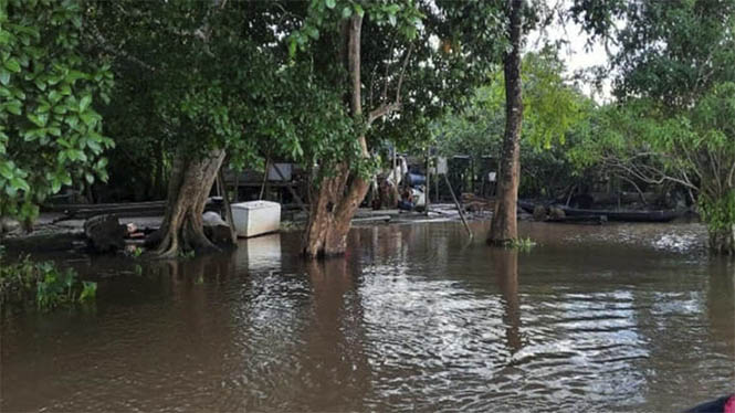 Reportan descenso en niveles de los ríos Orinoco y Caroní