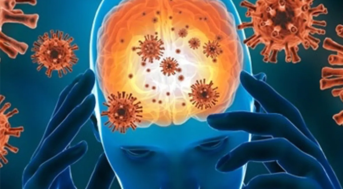 Virus causante del COVID-19 provoca la muerte de importantes células del sistema vascular cerebral