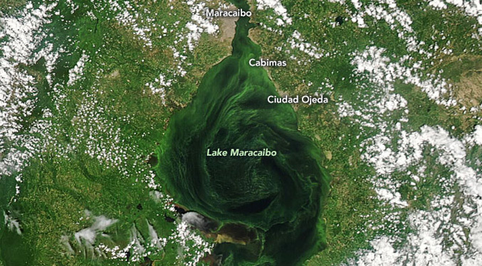 Imágenes satelitales revelan la contaminación que hay en el Lago de Maracaibo