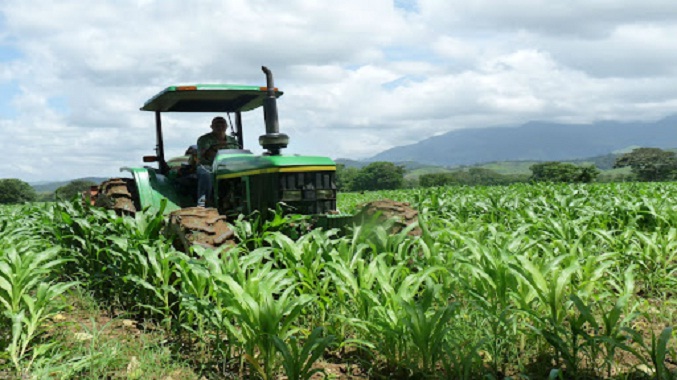 Fedeagro propone plan de “agricultura de contrato” para cumplir próximos ciclos de siembra