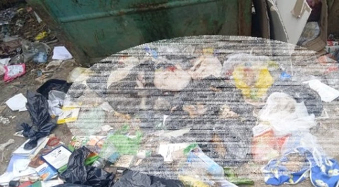Hallan al menos 50 perros envenenados en un contenedor de basura en Los Teques