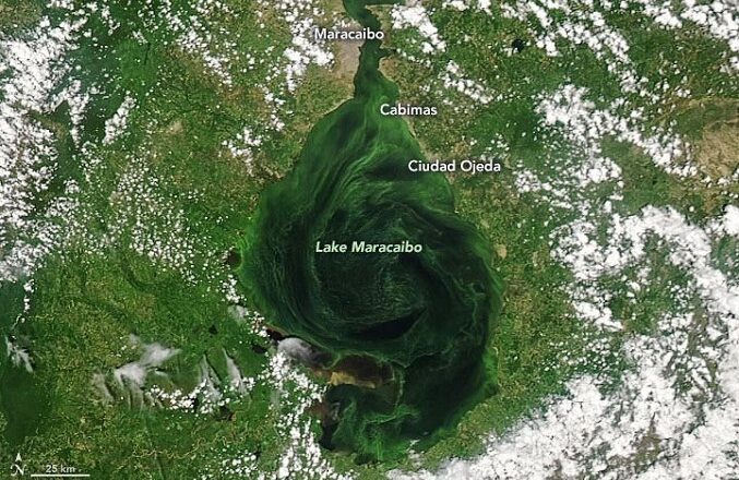 ONG denuncia que el 90 % de la orilla del Lago de Maracaibo tiene basura