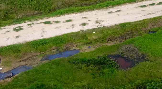 FANB neutraliza aeronave colombiana