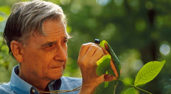 Muere a los 92 años el biólogo estadounidense E.O. Wilson, «el heredero natural de Darwin»