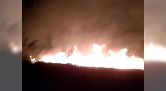 Parque Nacional Henri Pittier afectado nuevamente por nuevos incendios forestales (Video)
