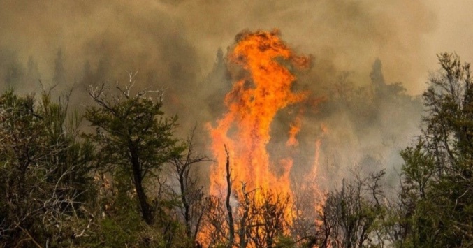 Preocupan en Argentina incendios que asolan zonas de la Patagonia