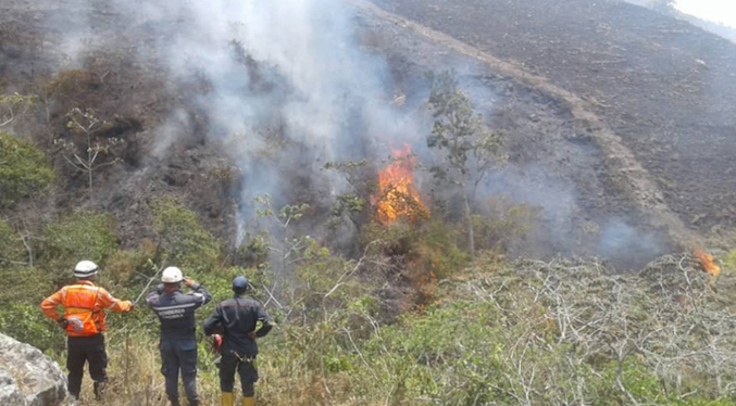 Inameh pronostica riesgo de incendio forestales