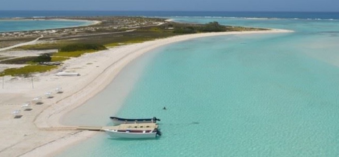 Ejecutivo promete abrir al turismo La Tortuga, una isla con delicado ecosistema