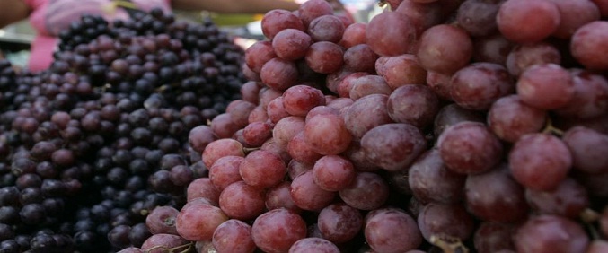 Ecoanalítica: Precio de uvas importadas aumentó en 2021 alrededor de un 20 %