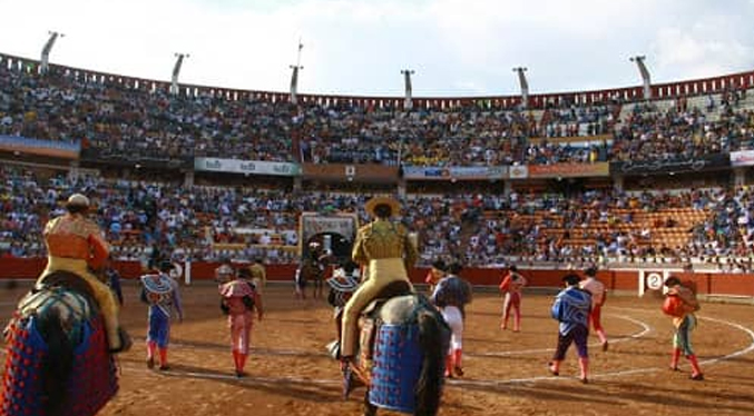 Misión Nevado: Promover corridas de toro desde el Gobierno en la «Venezuela Bolivariana resulta increíble»