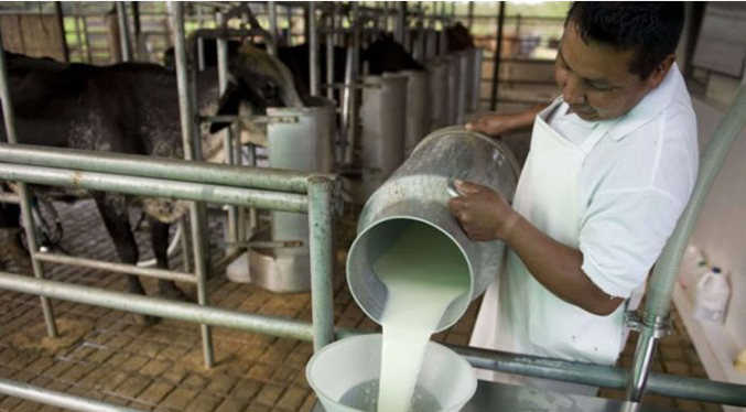 Fedenaga: Producción agropecuaria está por debajo de requisitos de la FAO