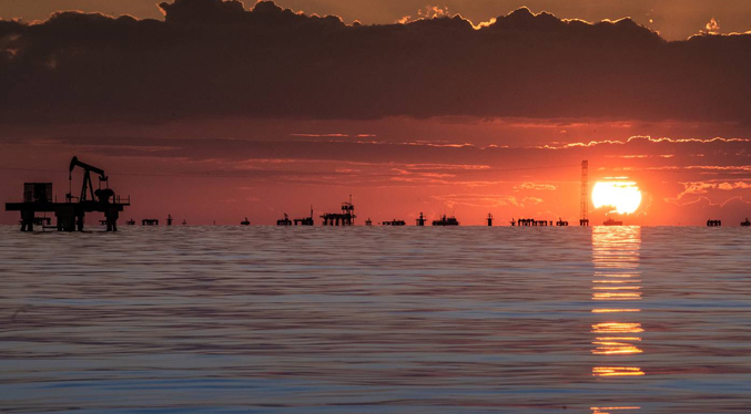 Desde el Zulia exportan camarones al mundo (Fotos)