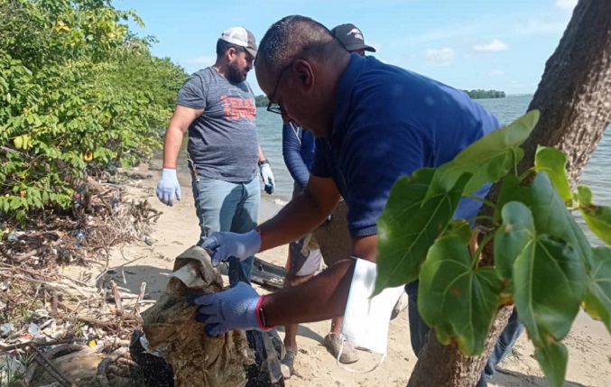 Alcaldía de Maracaibo junto a ecologistas trabajan en limpieza de isla Mágico Manglar