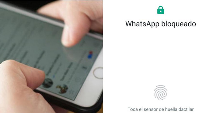 WhatsApp: Con este truco podrá colocarle contraseña a sus conversaciones