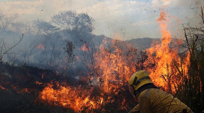 Inameh pronostica riesgo de incendio forestales en 59 % de Venezuela