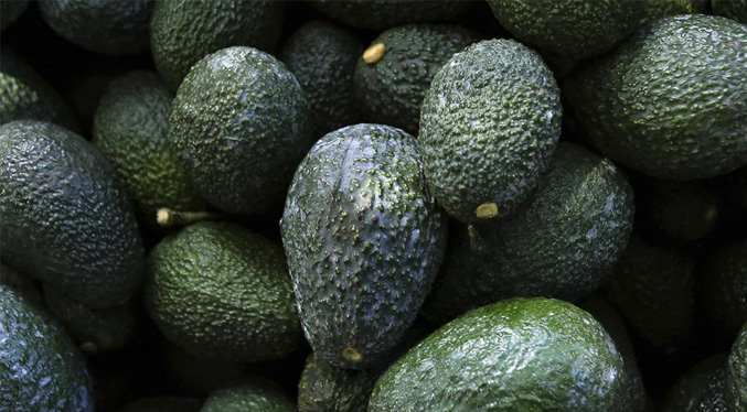 EEUU suspende importación de aguacate mexicano tras amenazas