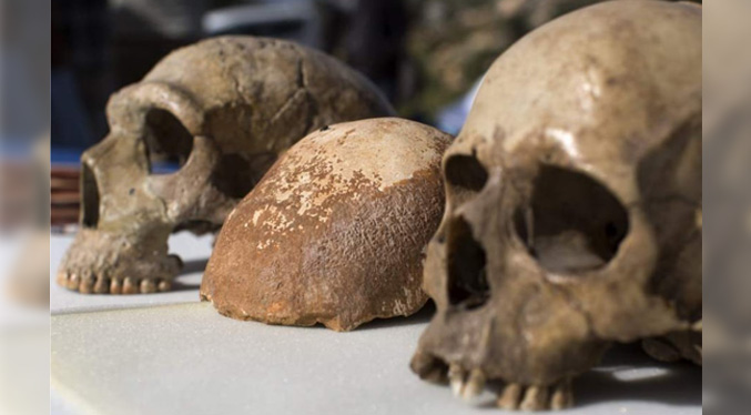 Científicos descubren que el Homo sapiens estuvo en Europa antes de lo pensado