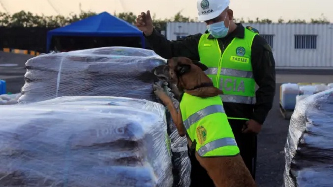 Incautadas en Colombia 3,5 toneladas de cocaína destinadas a España y México