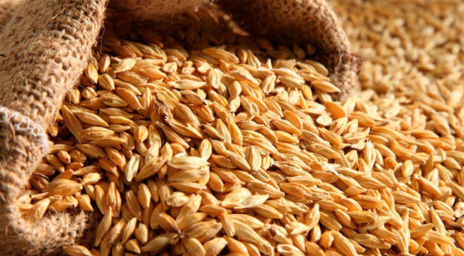 OMC pide a países con reservas de cereales liberarlas para hacer frente al alza de precios