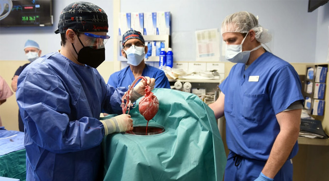 Muere en EEUU el primer paciente que recibió un trasplante de corazón de cerdo