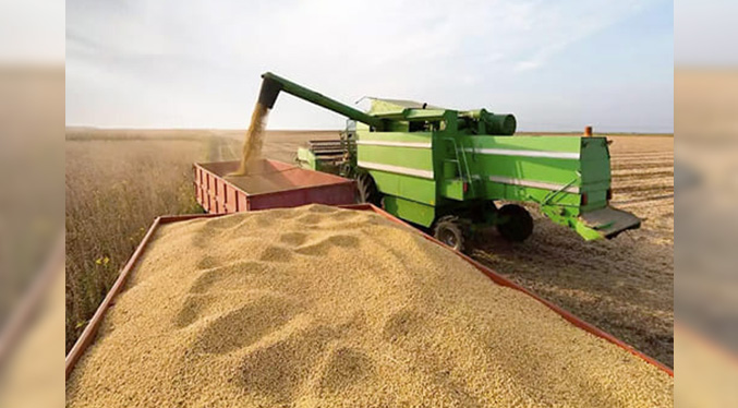 Brasil exportará más maíz por la guerra de Ucrania, pero teme por los fertilizantes