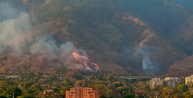 Remigio Ceballos asegura que incendio en El Ávila está 100 % controlado